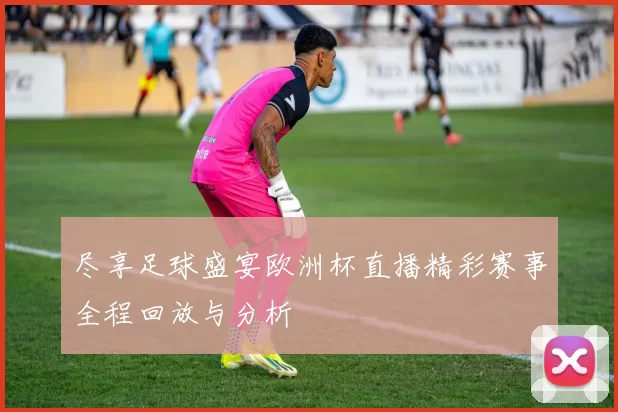 尽享足球盛宴欧洲杯直播精彩赛事全程回放与分析