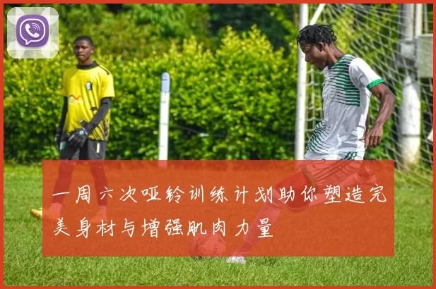 一周六次哑铃训练计划助你塑造完美身材与增强肌肉力量